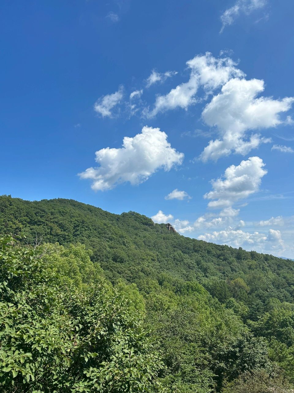 带娃也可以爬的山7215松峰山|哈尔滨周末爬山     周末和家人一起