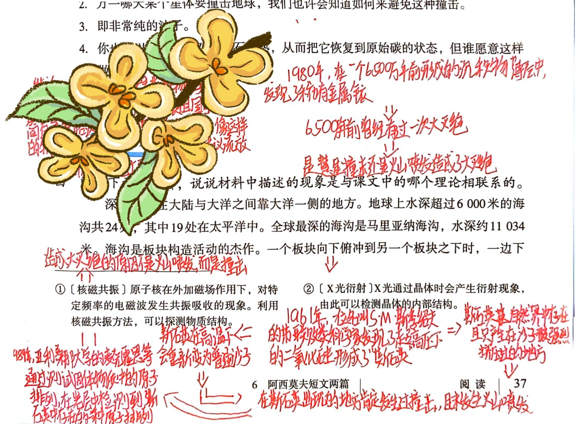 《被压扁的沙子》可视化推理流程图～ 谁还不是可科学侦探呢!