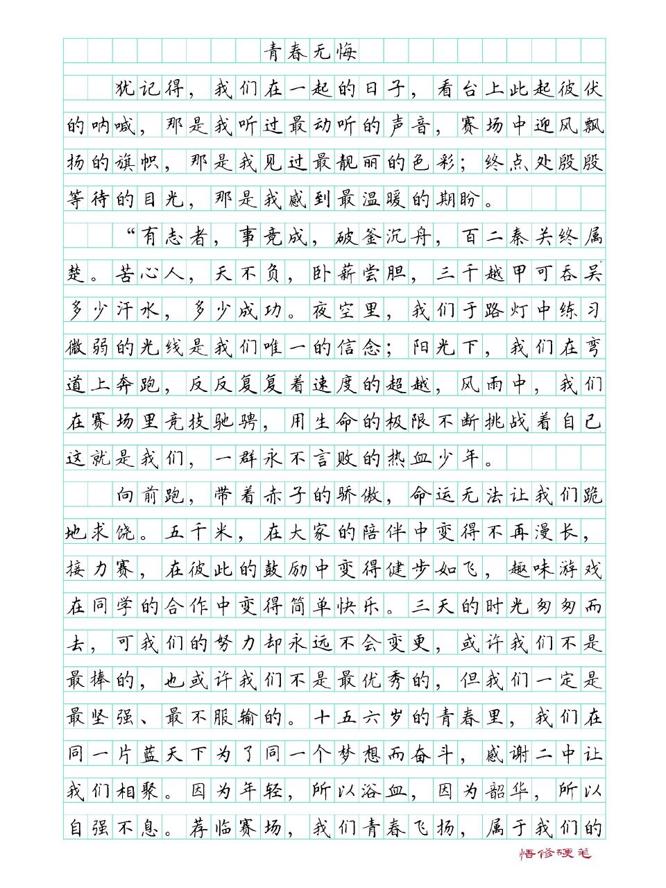 作文范文《青春无悔》 你只知道我的成功,却没看到我的汗水,你有你的