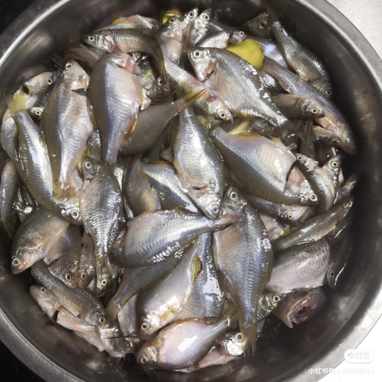 none 油炸鳑鲏鱼