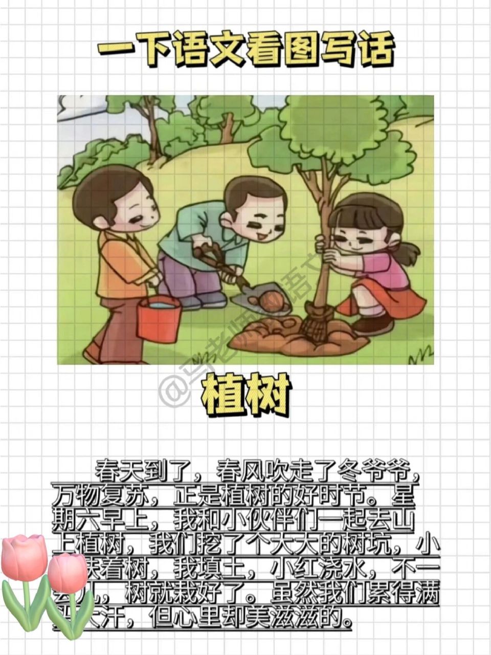 植树看图写话答案图片