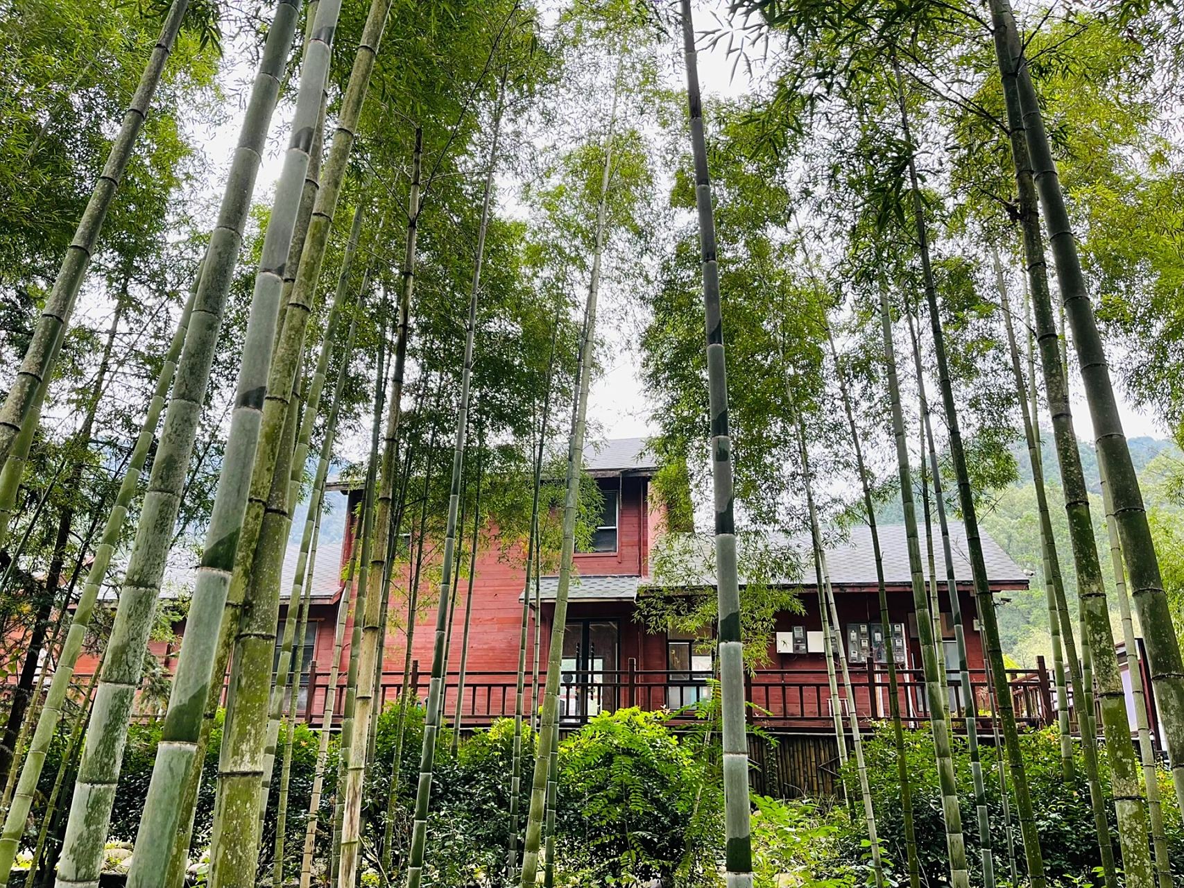 武宁县长水村 偶然发现一块纯净的村庄,位于江西省九江市武宁县长水村