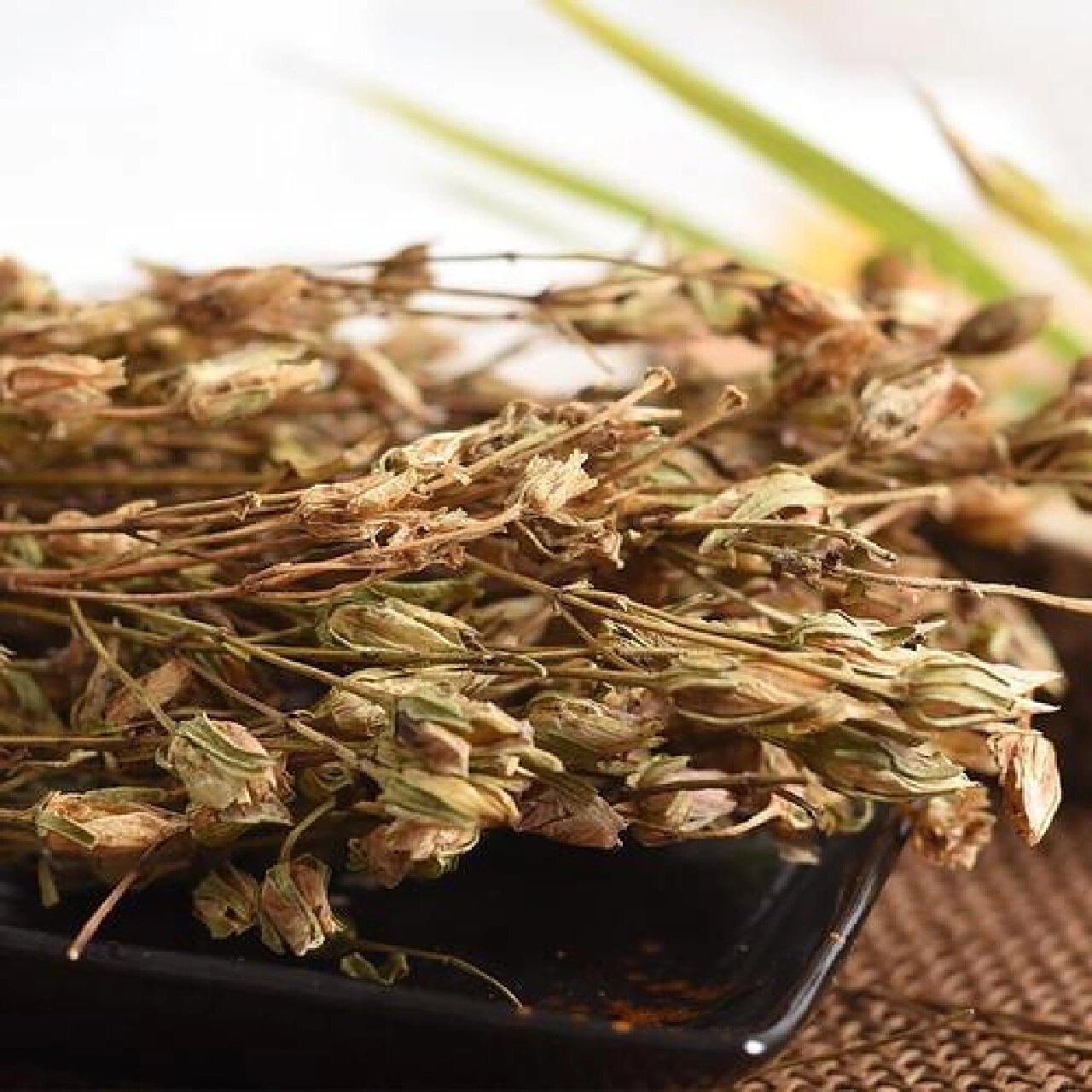 每日学一味中药——青叶胆 【来源】 为龙胆科植物美丽獐牙菜的全草.