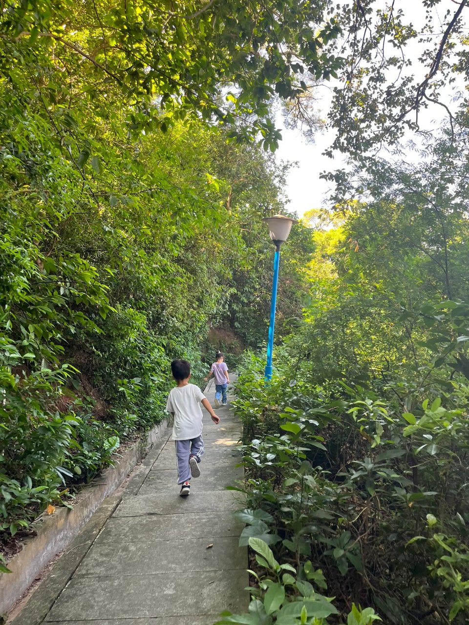 中山遛娃好地方-坦洲山公园 这个山不高,带着娃爬上爬下大概2个钟,有3