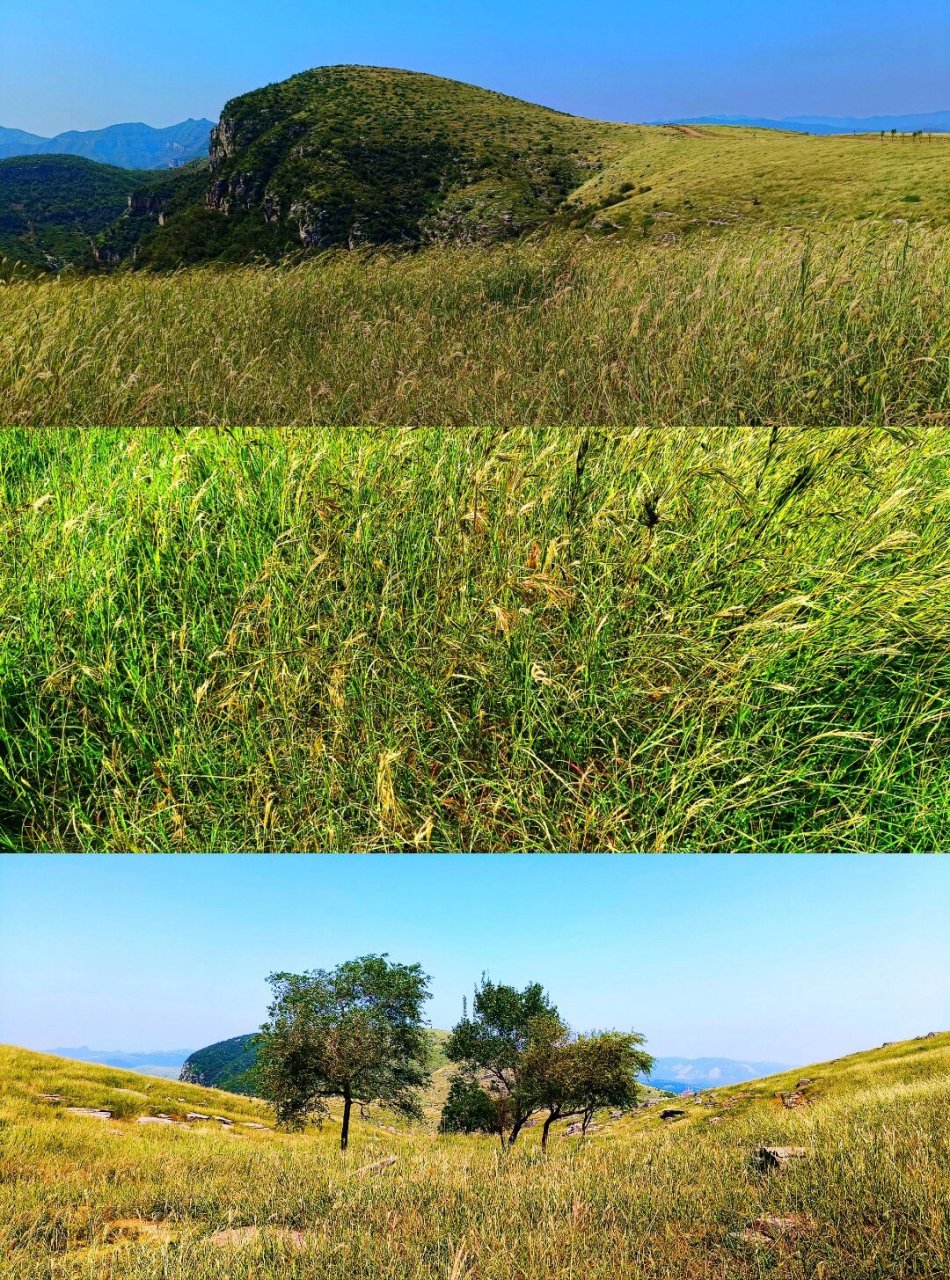南太行--鹤壁淇县,古灵山草原美图分享.