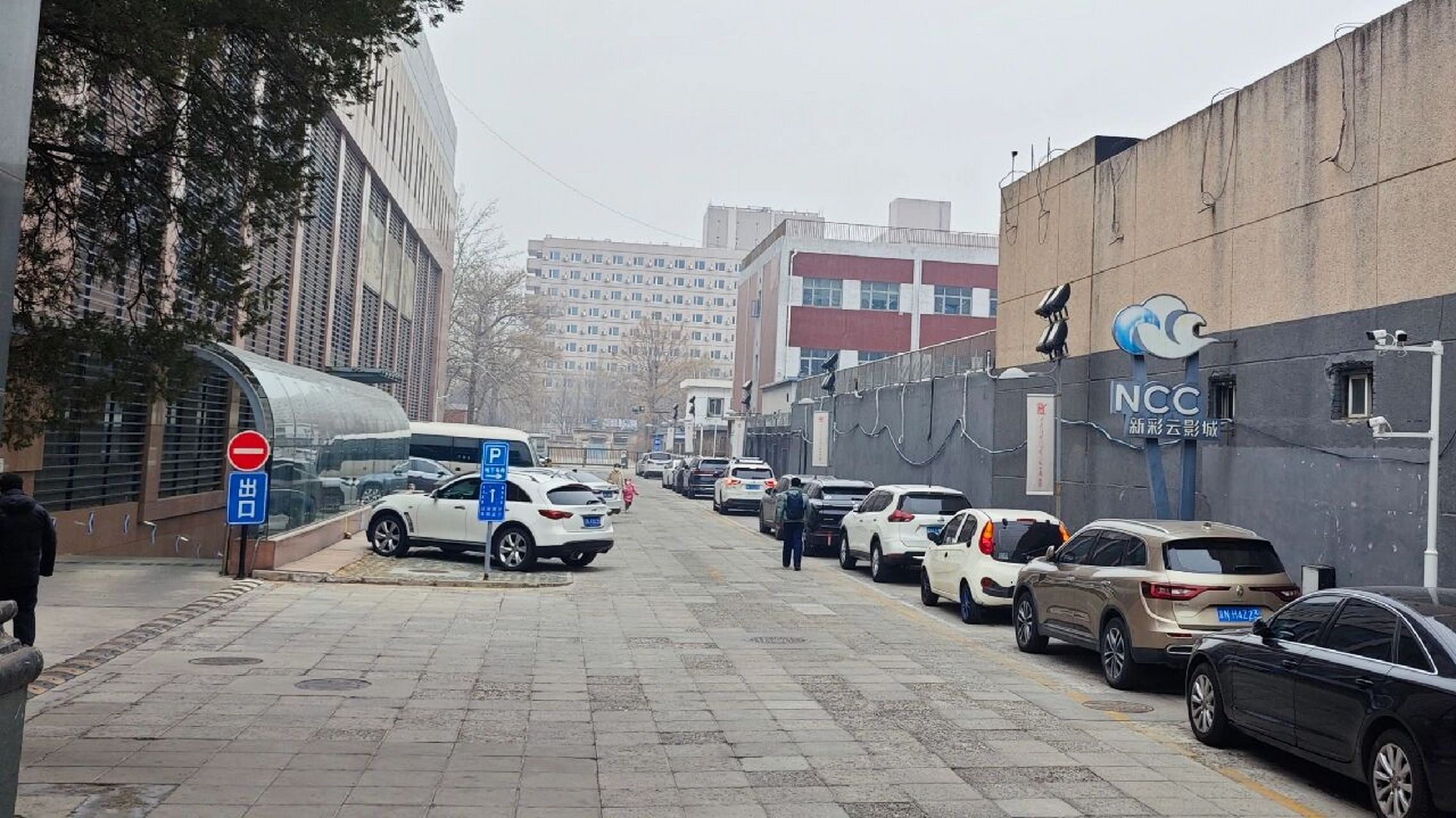 打卡天幕新彩云影城巨幕厅~ 【感受】今天去看了蚁人与黄蜂女量子狂潮