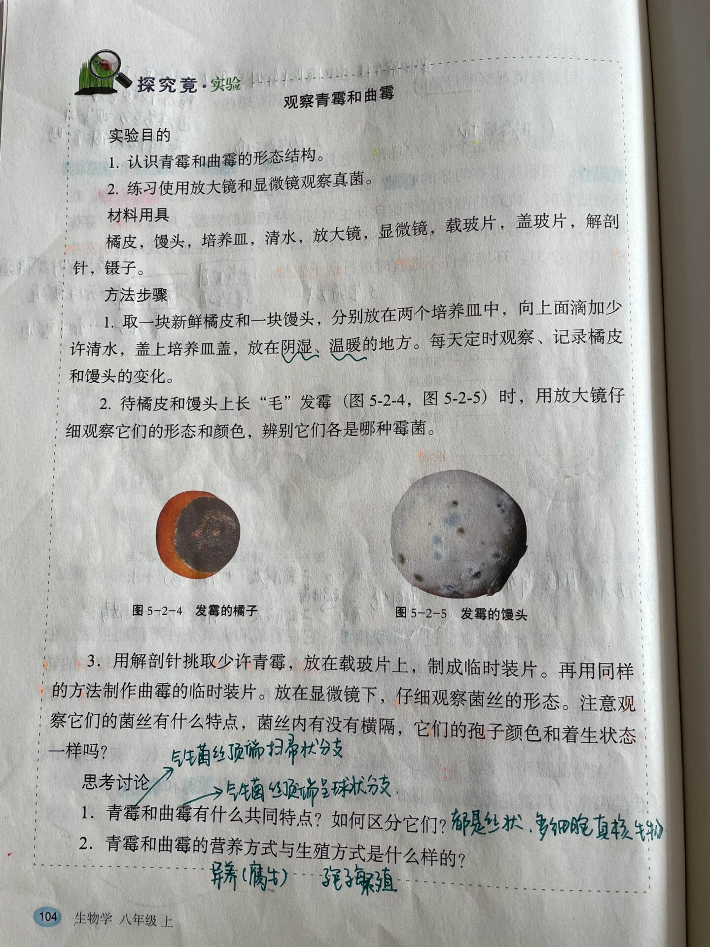 八下生物发酵食品笔记(八下生物发酵食品笔记图片) 第1张 八下生物发酵食品笔记(八下生物发酵食品笔记图片) 第1张