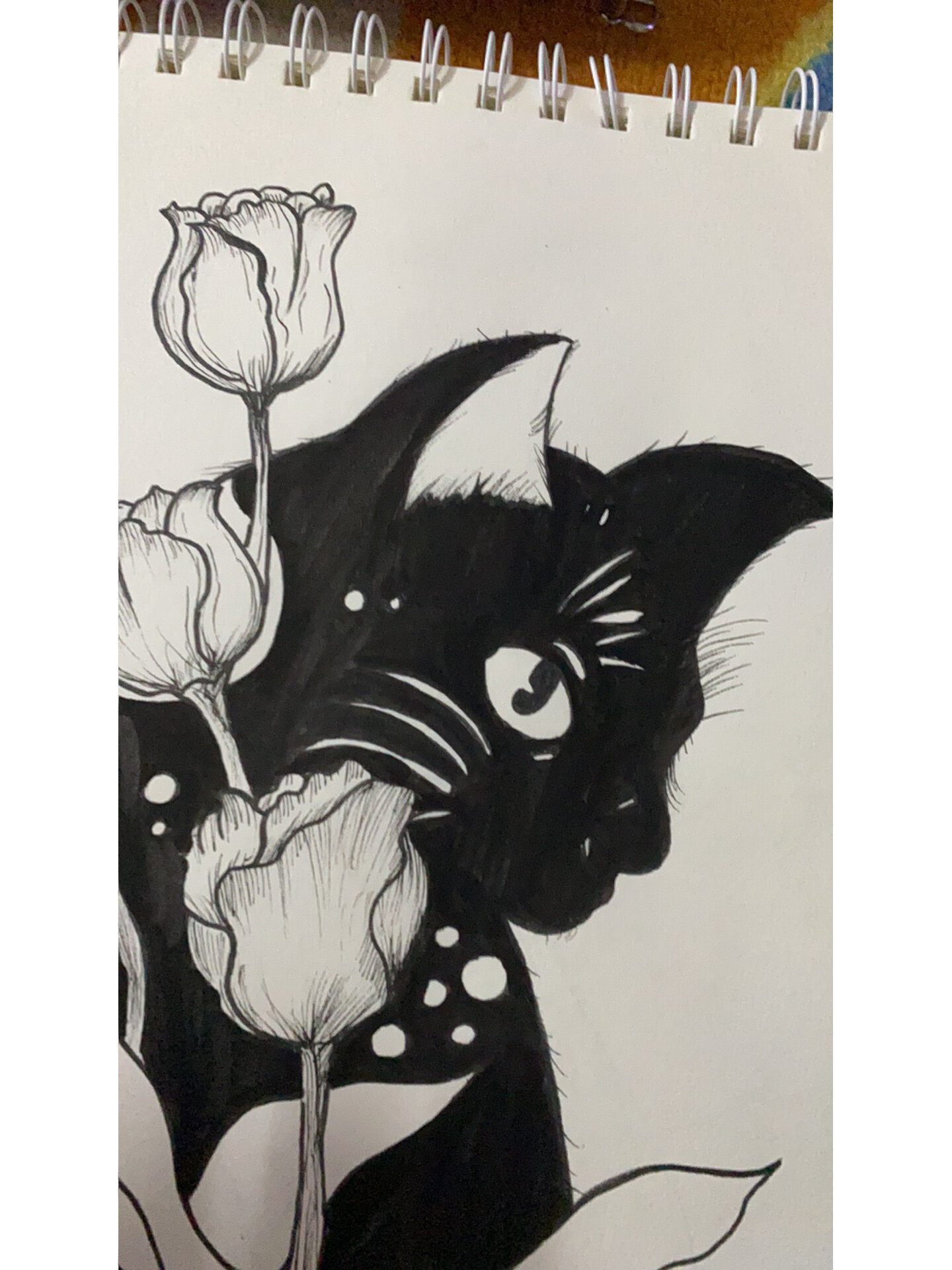 黑白装饰画|猫 内附教程图 黑白装饰画 黑猫少年 很喜欢