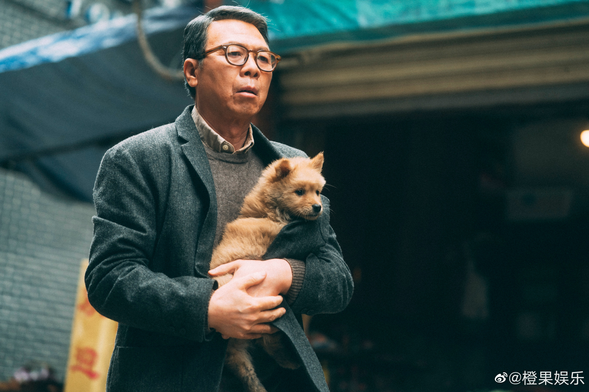 叶如芬监制,冯小刚,陈冲携中华田园犬大黄领衔主演的电影《忠犬八公》