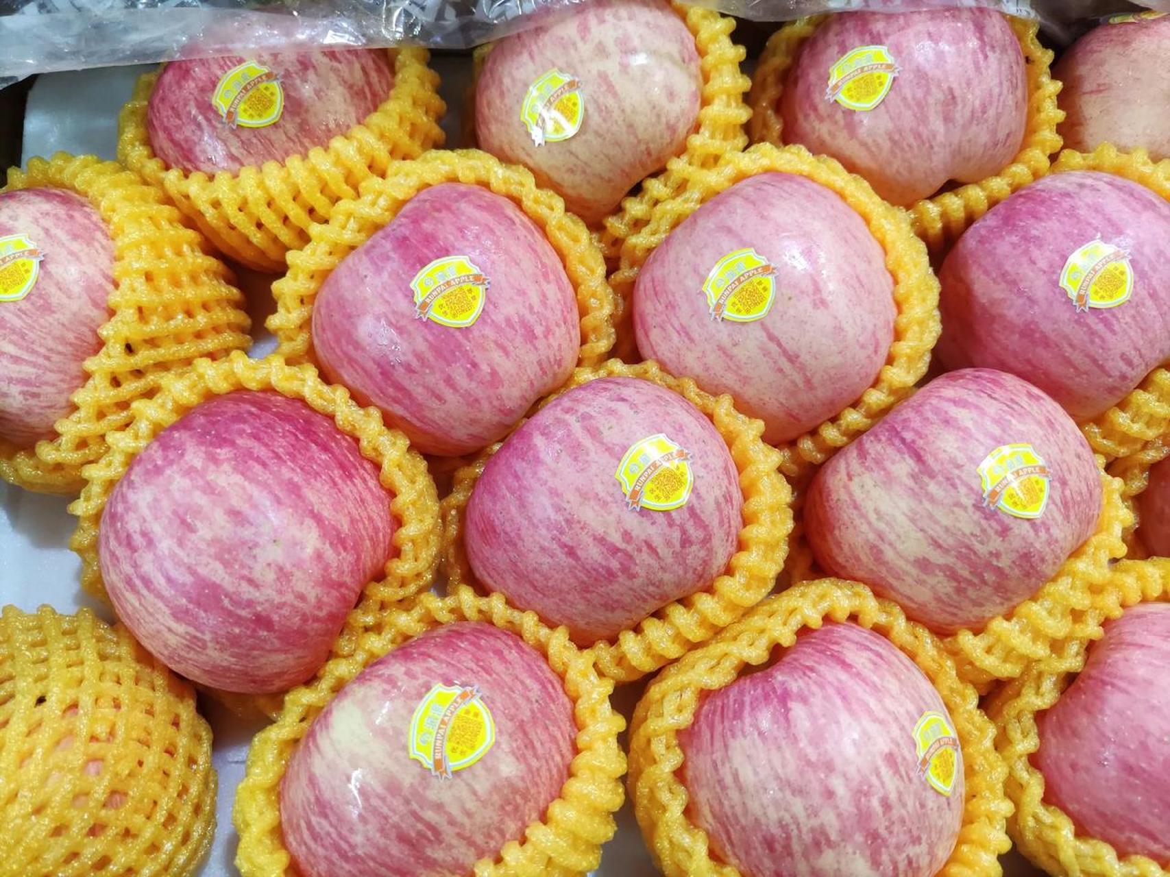 精品润派红富士苹果 它有着让人忘不掉的脆甜口感, 咬上一口清甜沁入