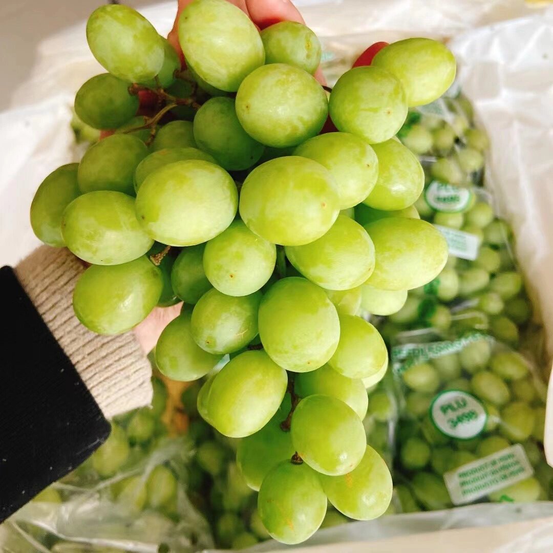 秘鲁《秋天脆青提》