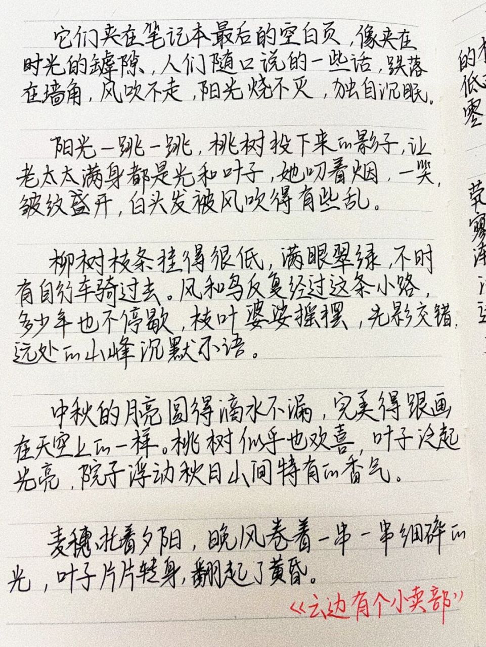 语文老师的摘抄本|作文里的细节描写 最近在读张嘉佳的书,所以摘抄本