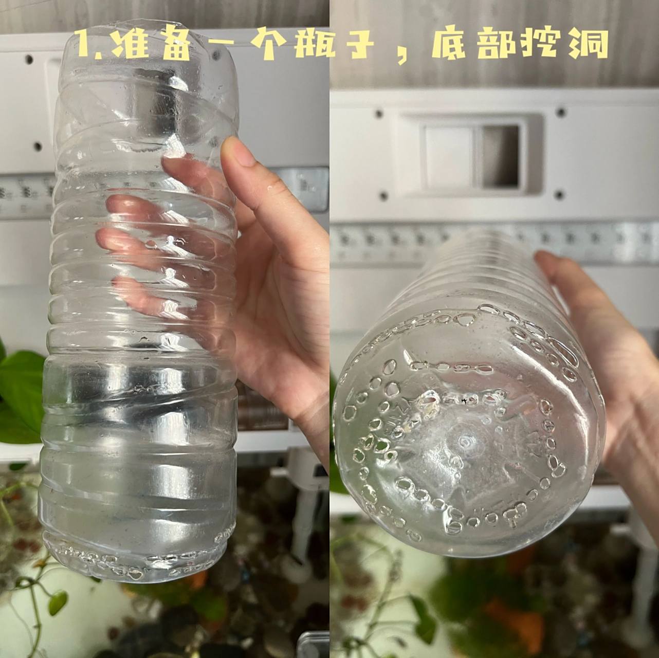 森森自制过滤 1.