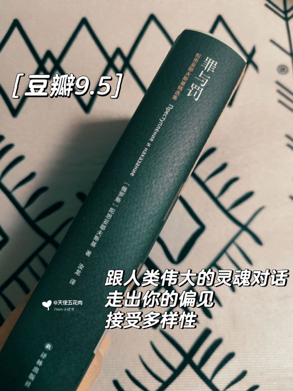 5分|罪与罚,文学天花板无疑了 98《罪与罚》 作者 陀思妥耶夫斯基