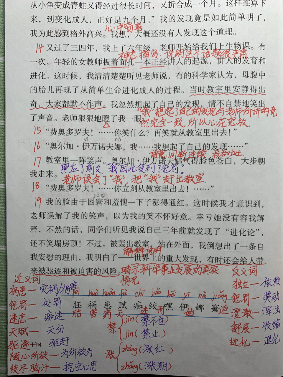 五年级第23课《童年的发现》笔记 每晚七点直播四年级,八点直播五年级