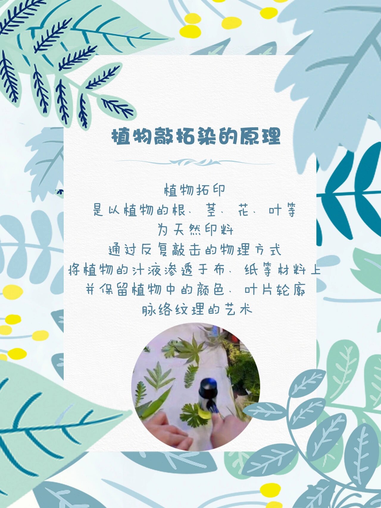 独特的教学方法,轻松掌握植物拓染教案技巧