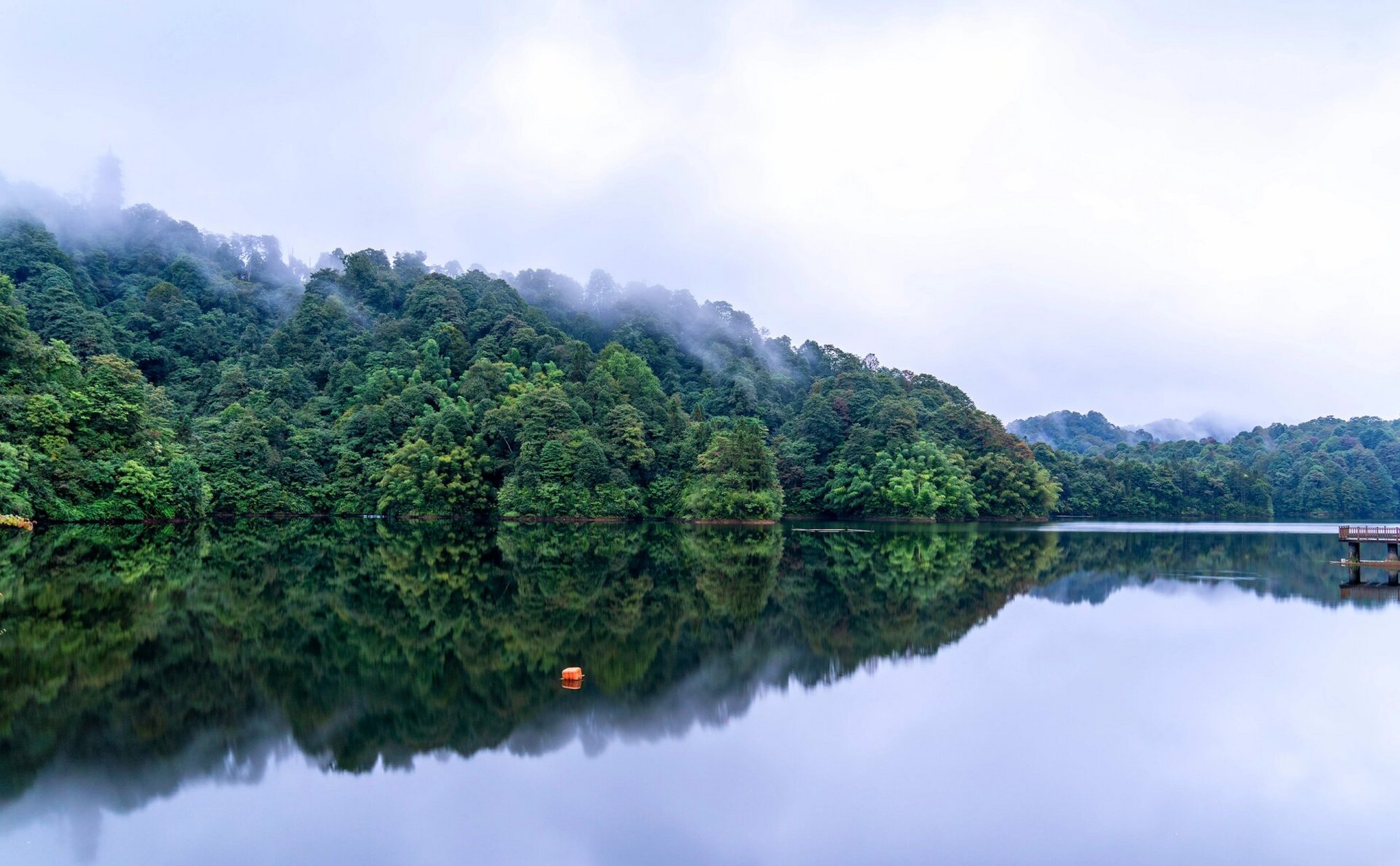 烟雨朦胧铜锣坝 铜锣坝国家森林公园位于云南省昭通市水富市.