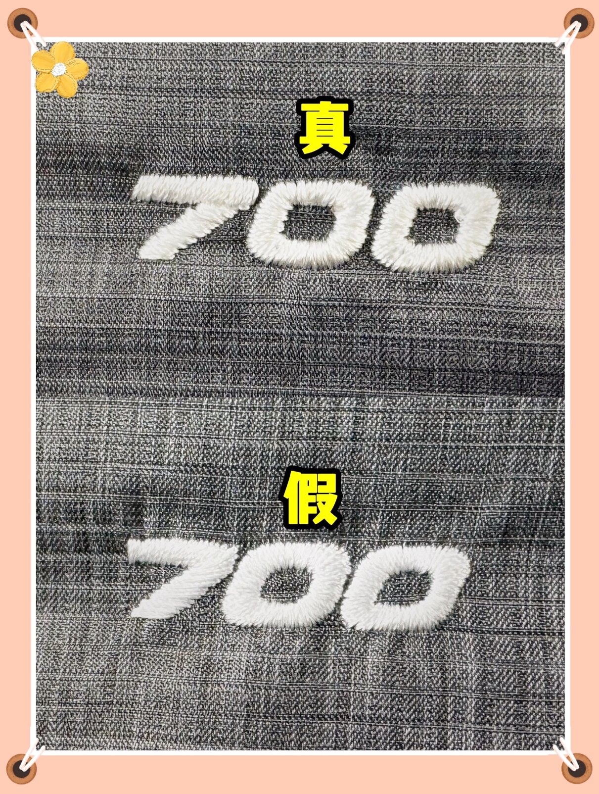 一分钟教会你分辨加拿大鹅真假