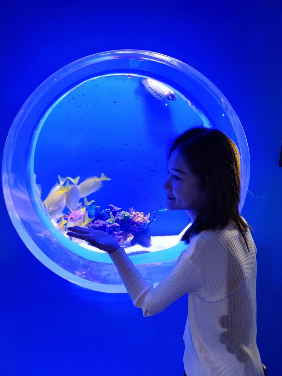 赤峰摩尔城海洋馆 99地点:维多利摩尔城一楼 96名字:海辰海洋乐园
