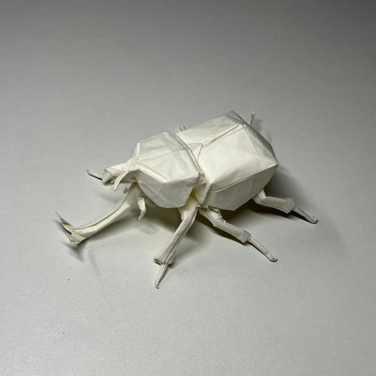 折纸神谷哲史昆虫图片