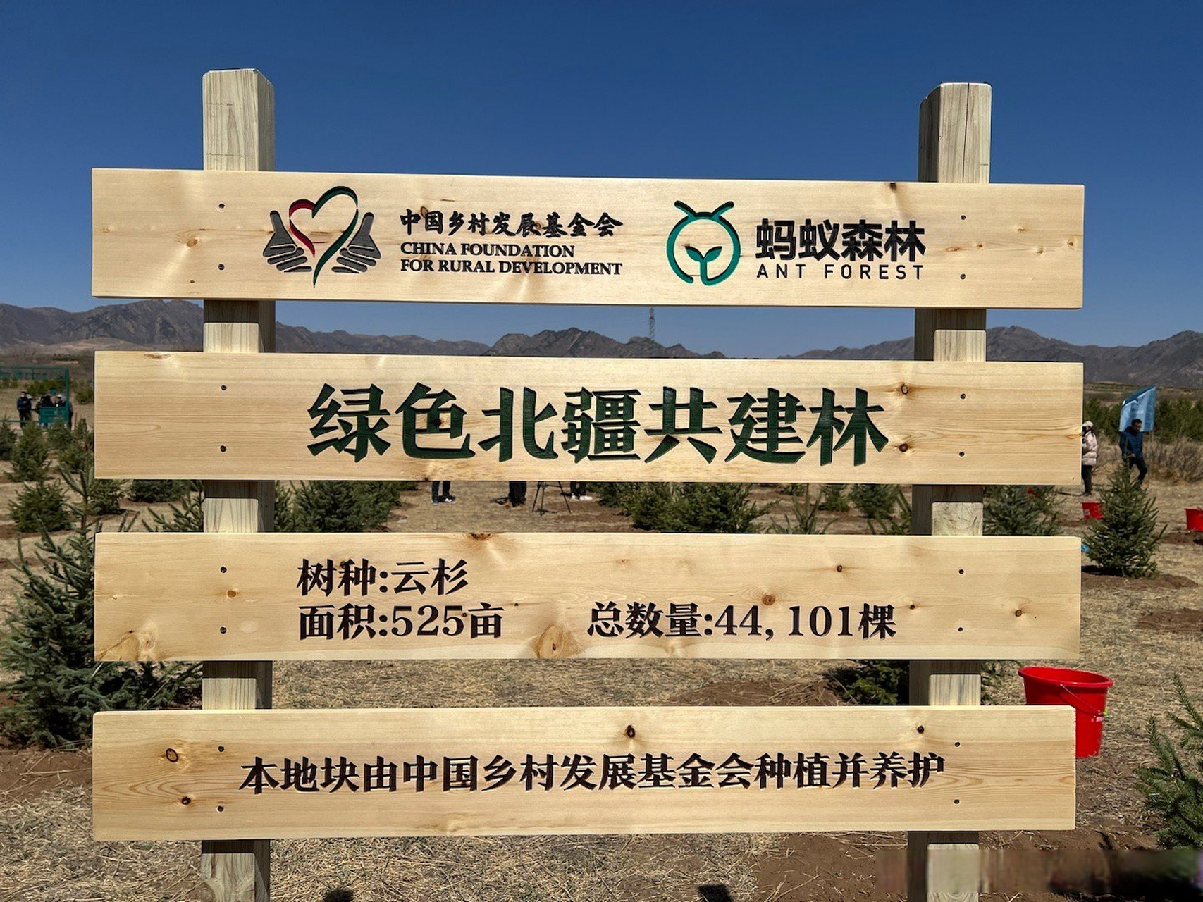 蚂蚁集团再捐1亿元种树#  我在蚂蚁森林种一颗云杉,地球的未来幸