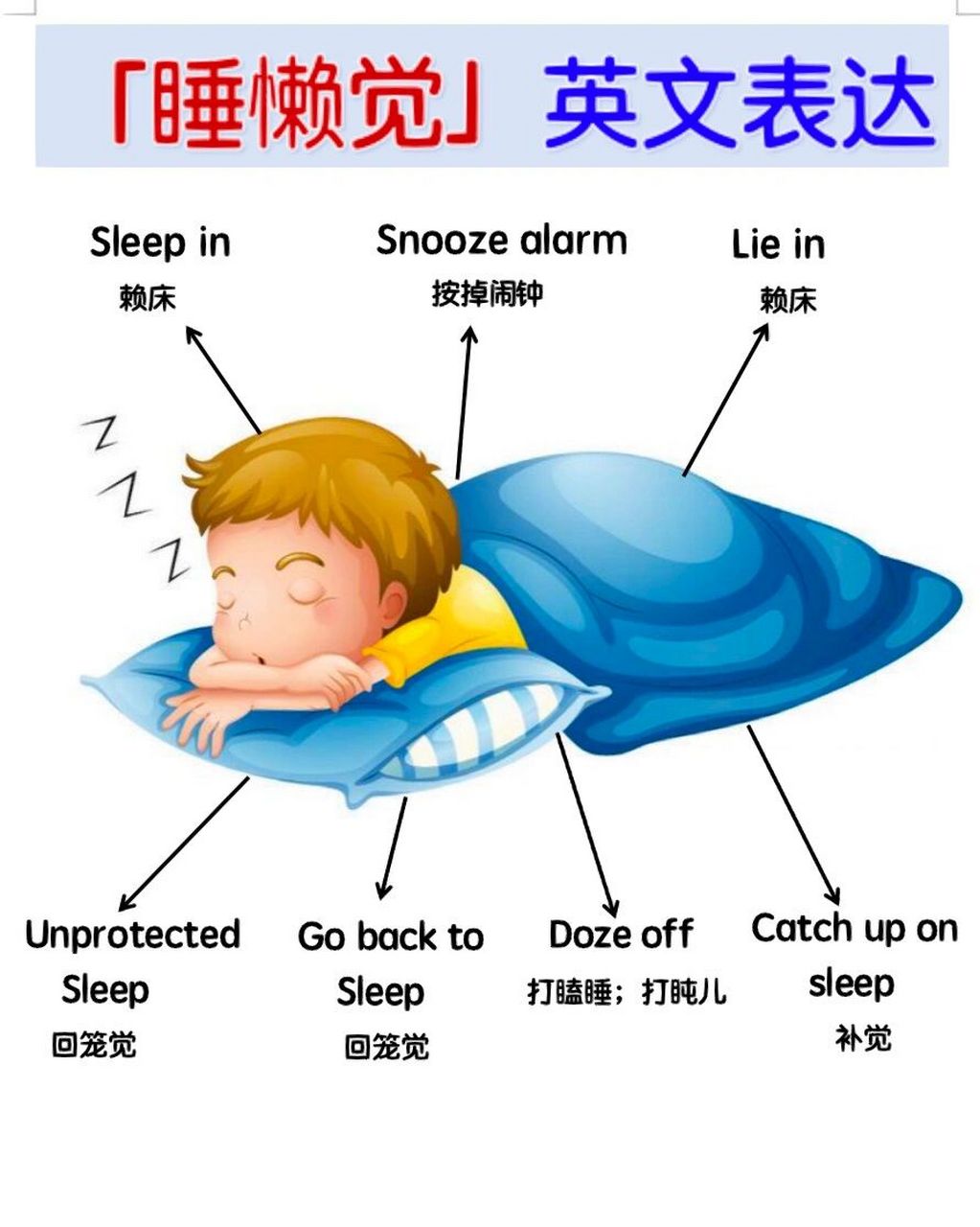 睡懒觉 sleep in lie in/have a lie-in snooze the alarm 按掉