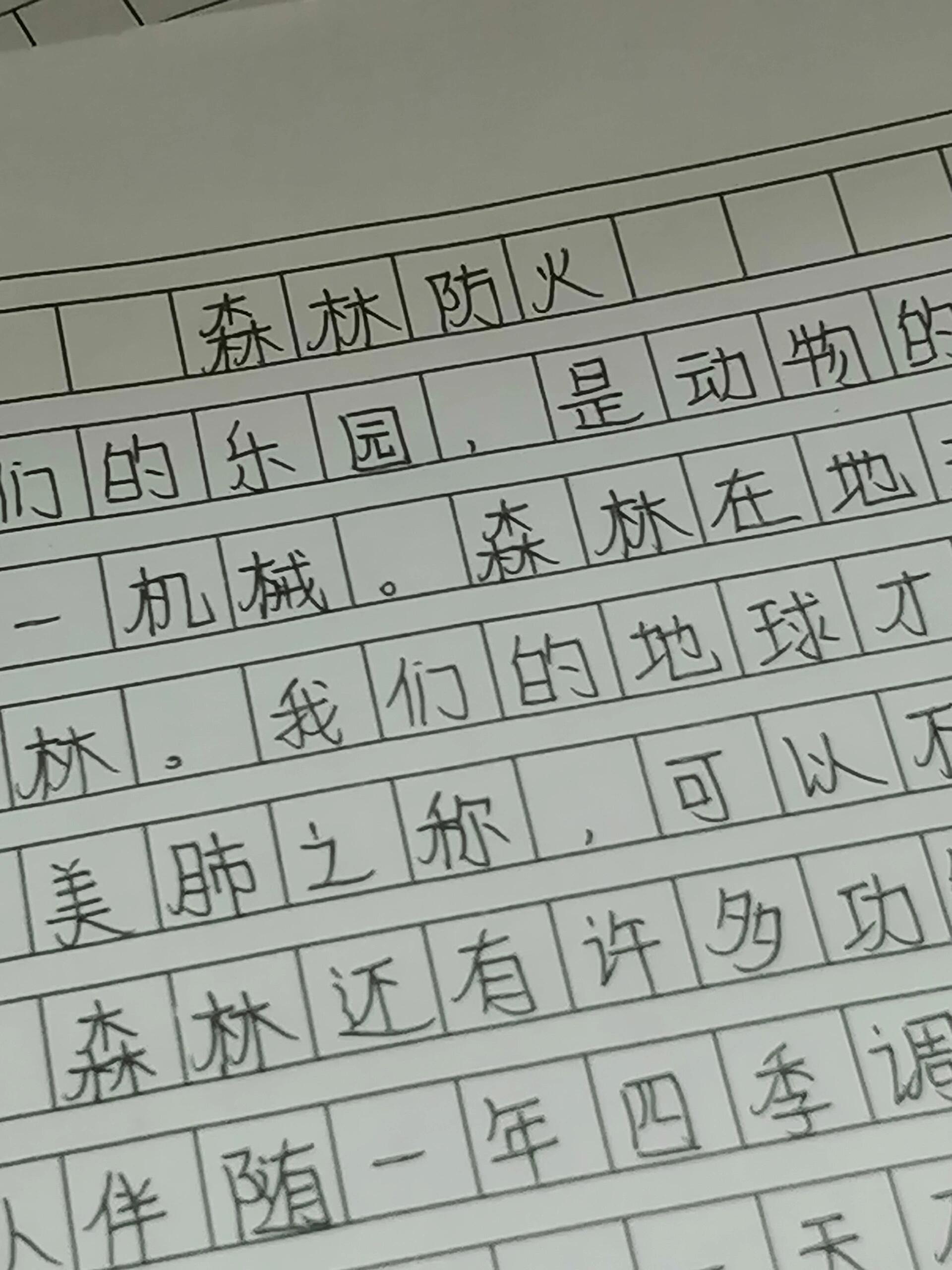 防火作文1000字图片