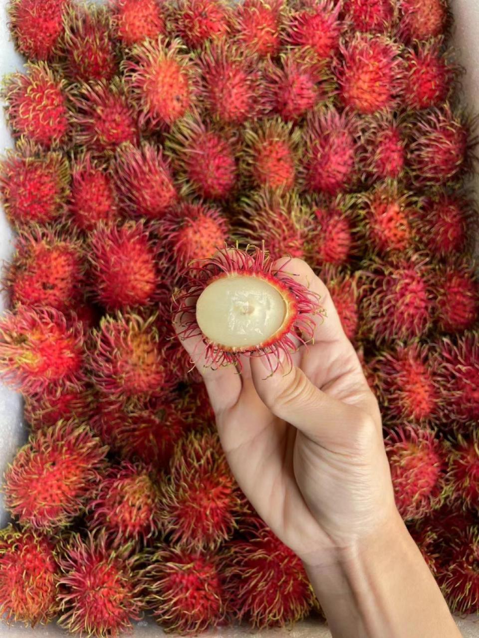 泰国红毛丹 红毛丹它毛茸茸的,长得很可爱,前段味如葡萄后段品似荔枝