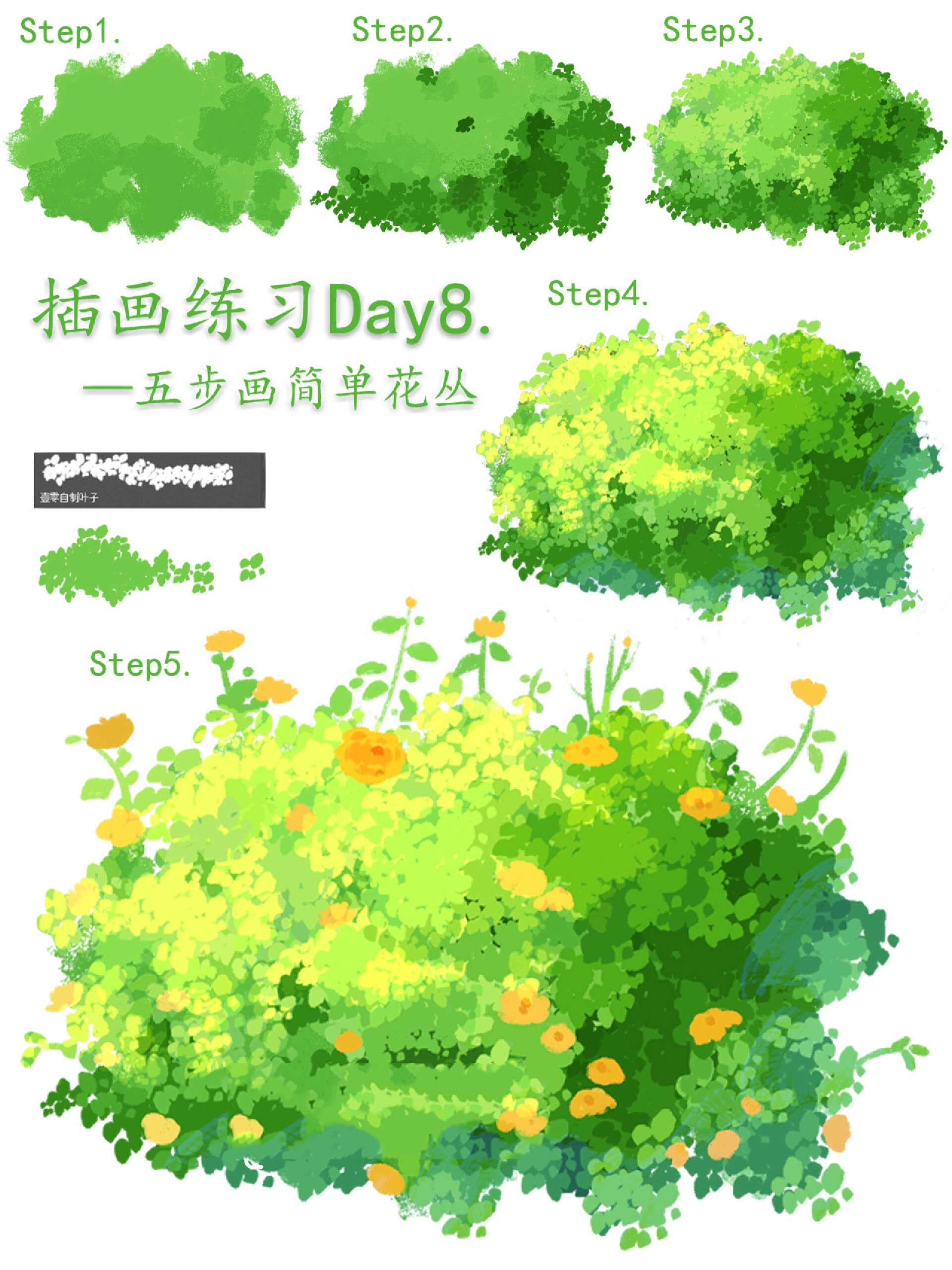 零基础插画教程