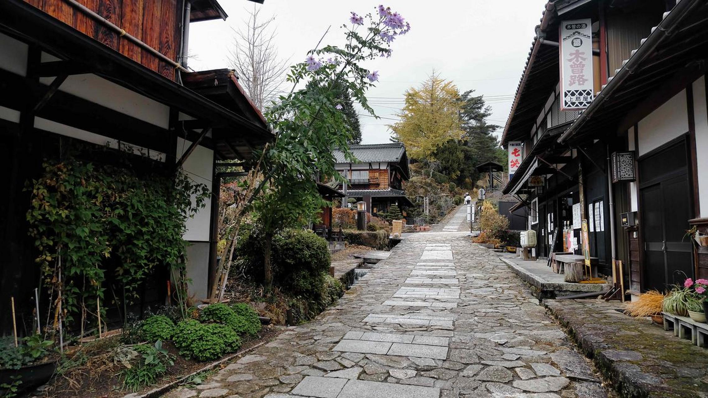 日本神之手,一己之力把日本人类史推进到70万年前,最后鞠躬了事.