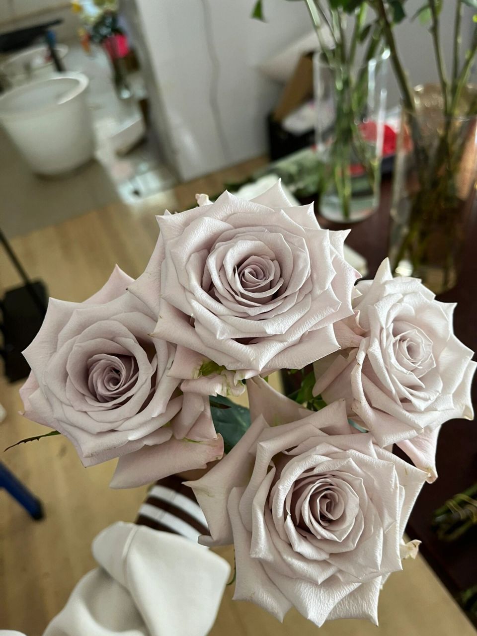 奶油灰紫色「曼塔玫瑰」 曼塔真的是养不腻的一款玫瑰 独特的灰紫色