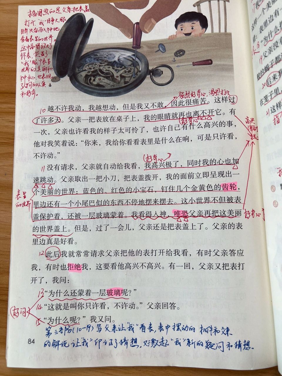 部编版 六下16课《表里的生物》教学笔记