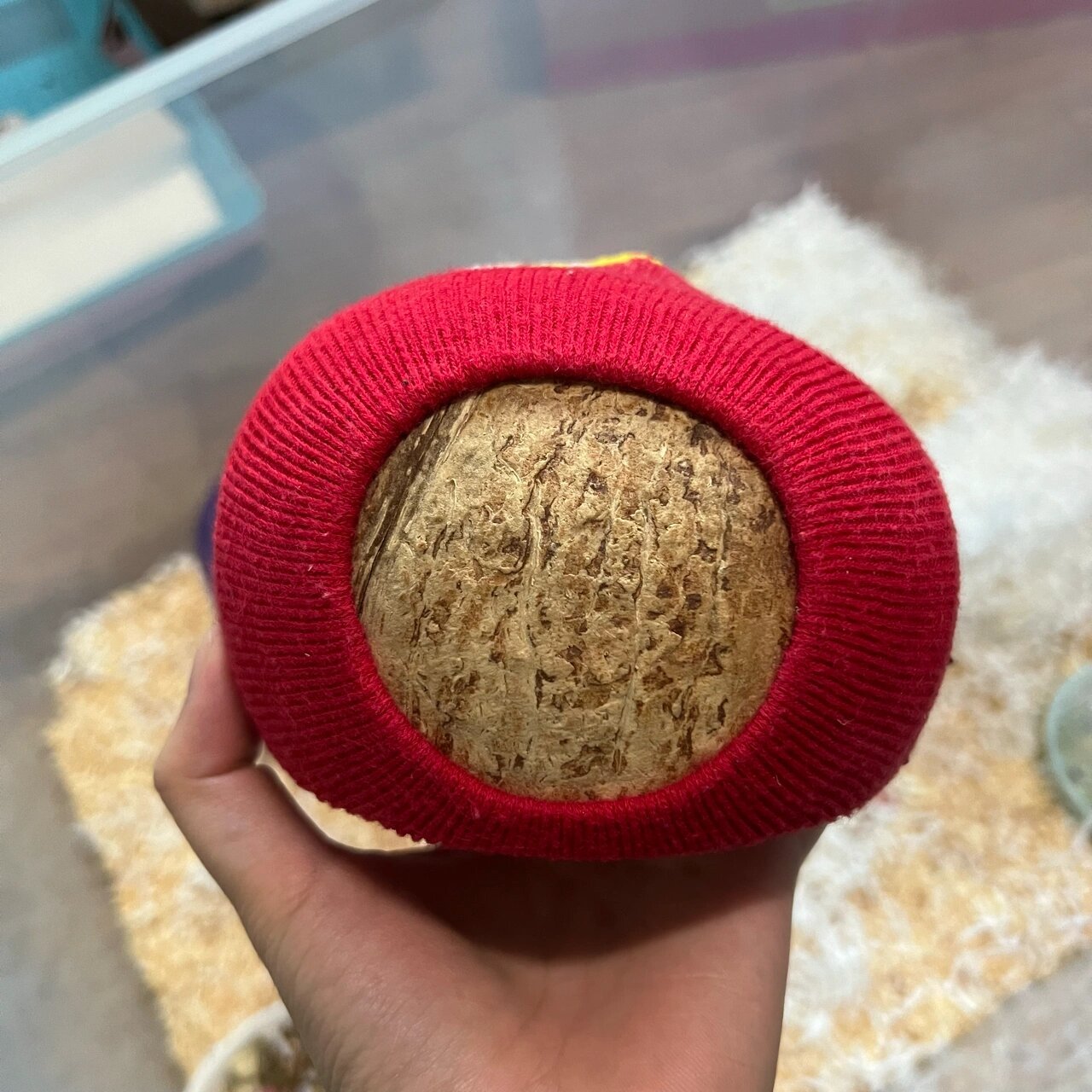 自制仓鼠袜子窝 冬天很冷怎么办? 没关系!