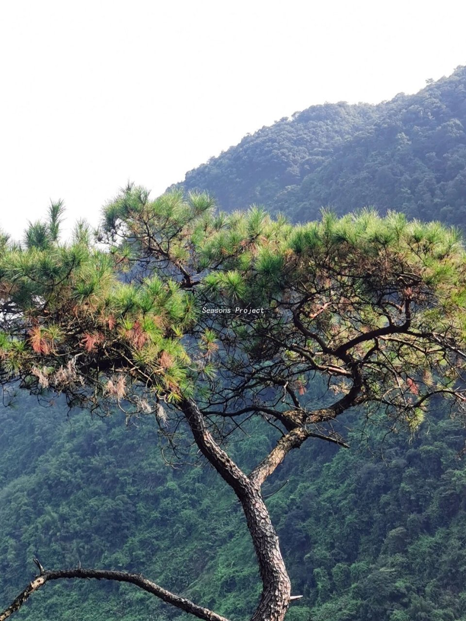 广东小众爬山plog | 肇庆四会贞山电视塔 96 肇庆四会贞山电视塔