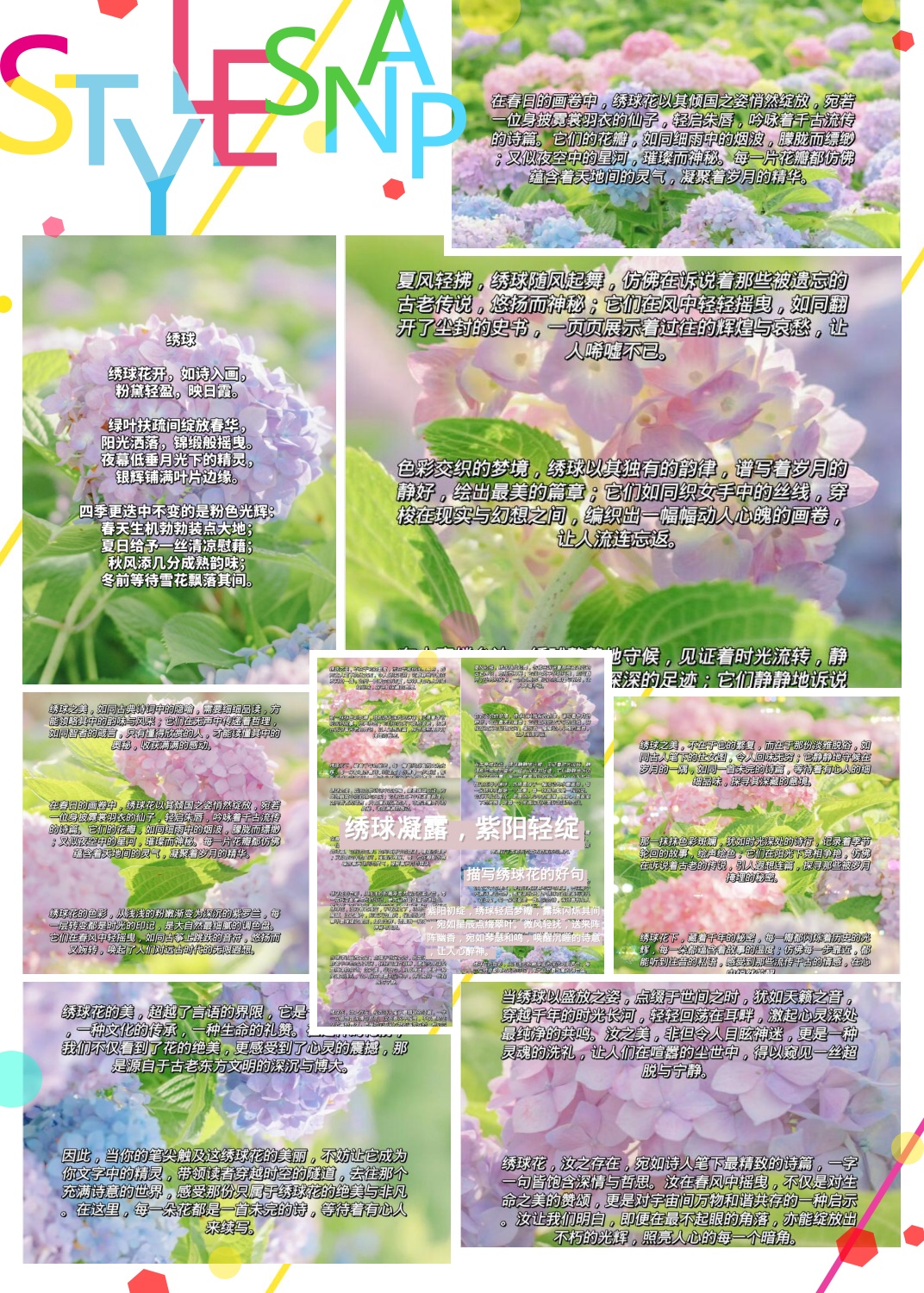 绣球花:绣球凝露缀枝头,紫阳轻绽梦悠悠