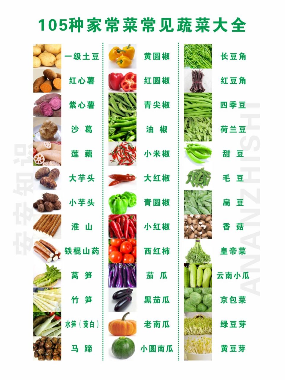 105种家常蔬菜,全认识算我输,收藏关注 小白学厨先学菜