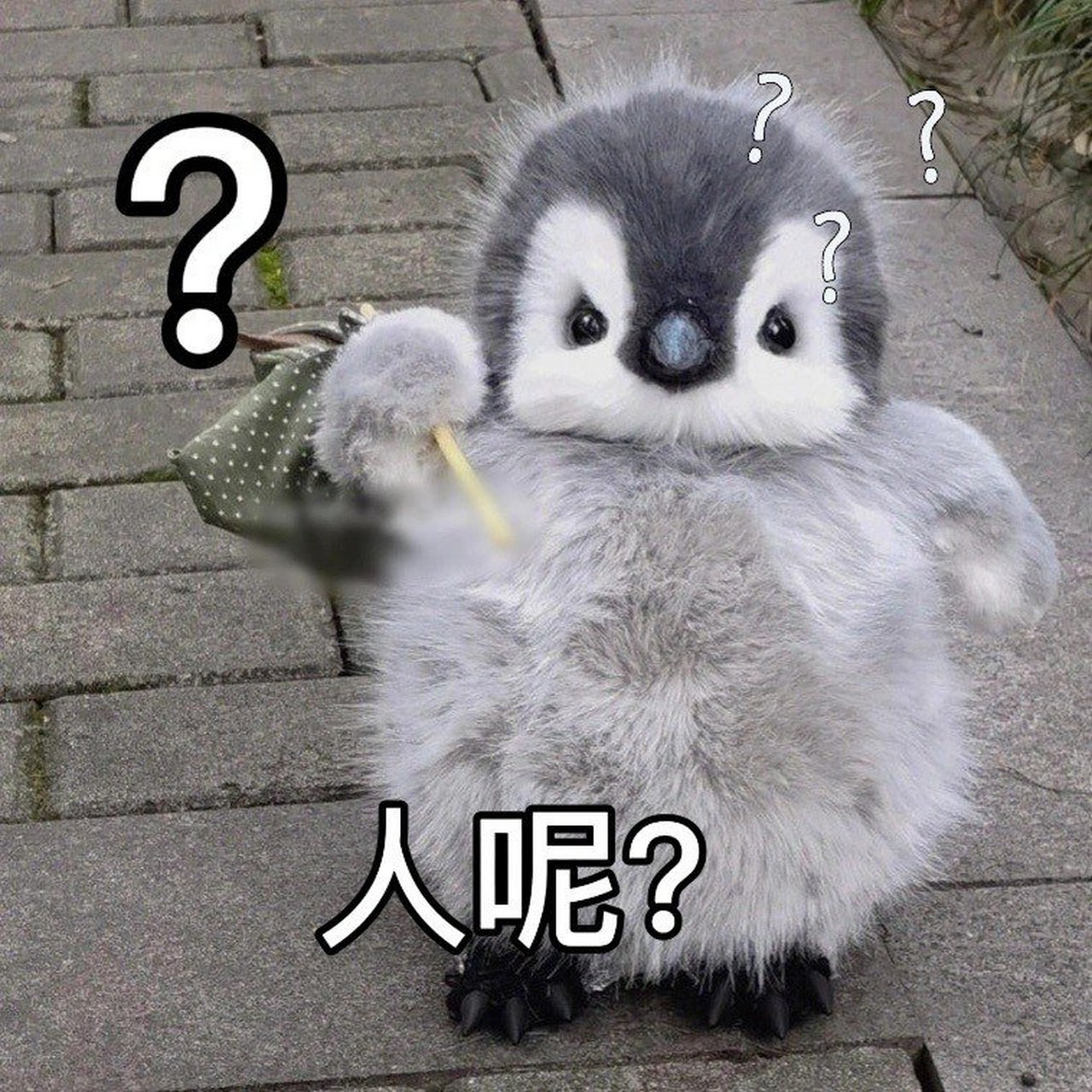 小企鹅可爱表情包