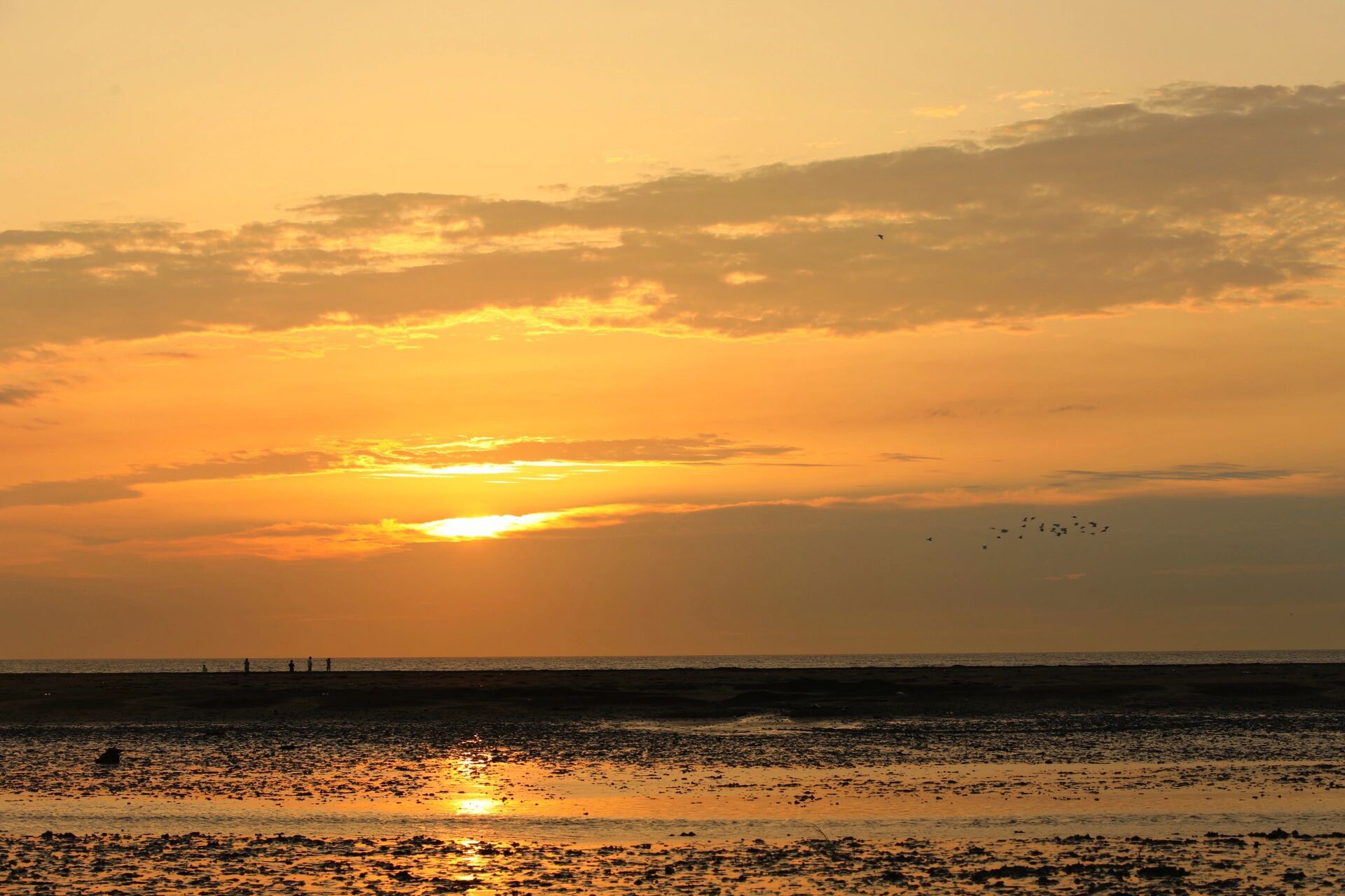 启东黄金海滩看日出游玩攻略 黄金海滩位于启东市寅阳东部,是江苏最早