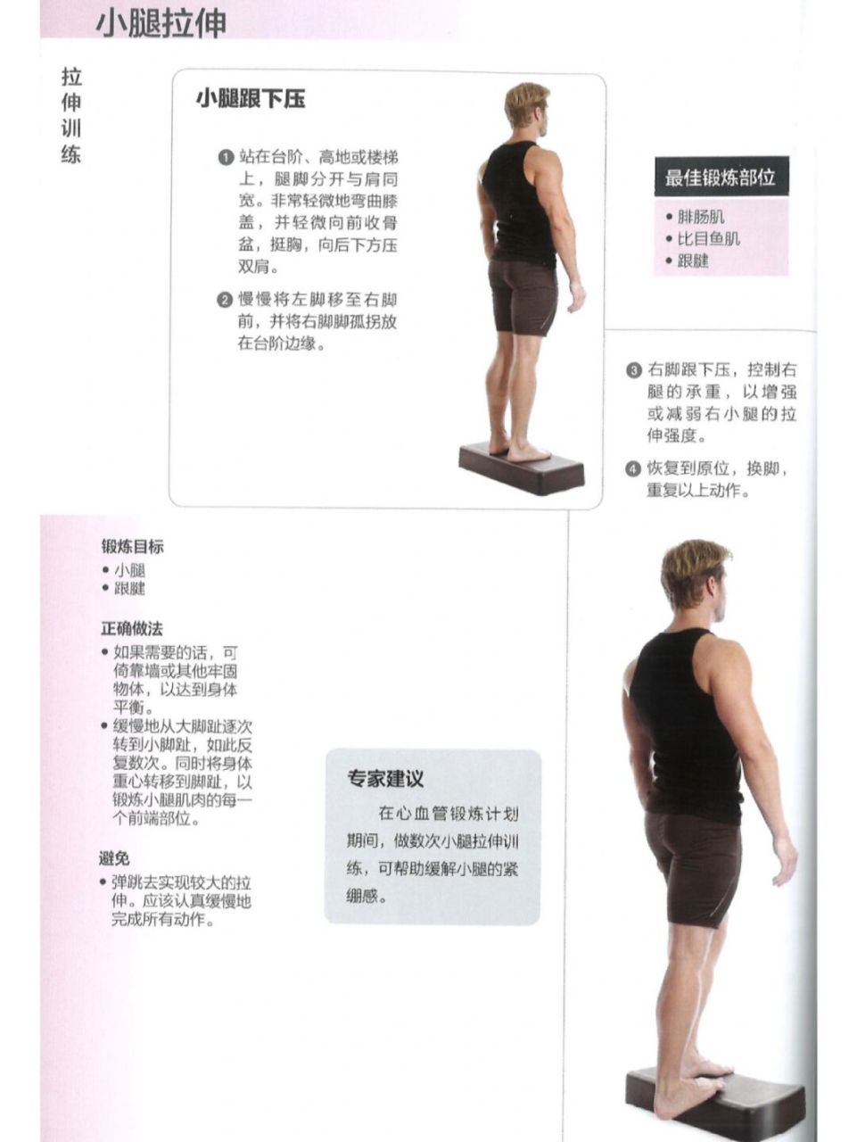 拉伸训练:肌肉训练图解⑨【小腿拉伸】 #见人不如健身##笔记灵感