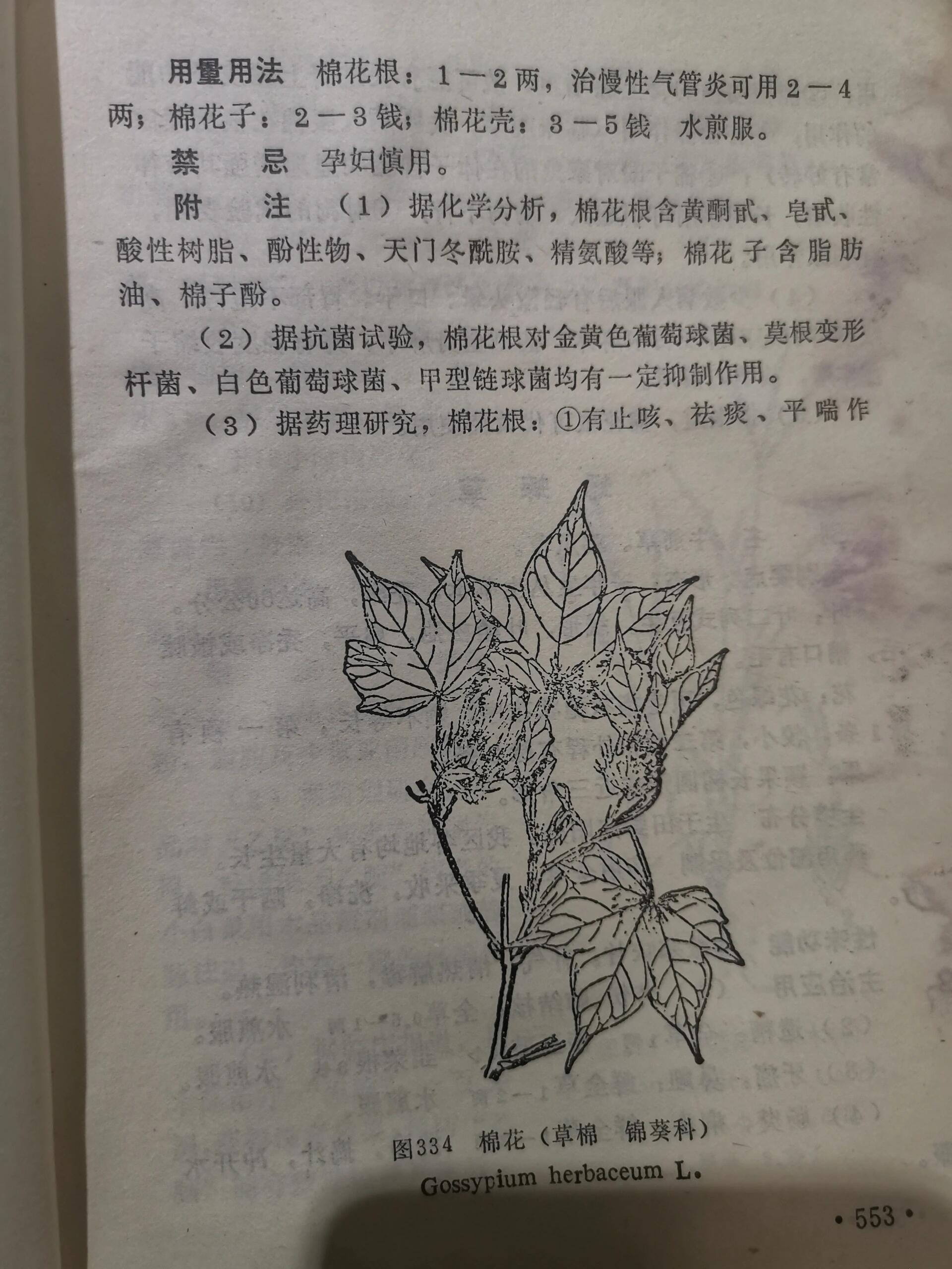 野棉花根抗癌图片