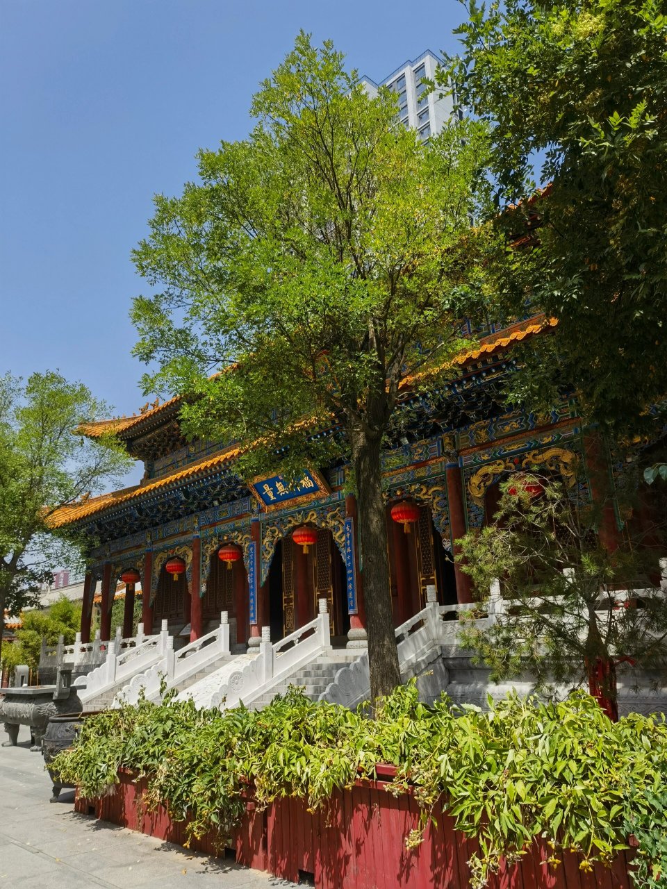 闹市中的太原龙华寺 龙华寺 创建于北齐时期,历经1500余年的历史,是