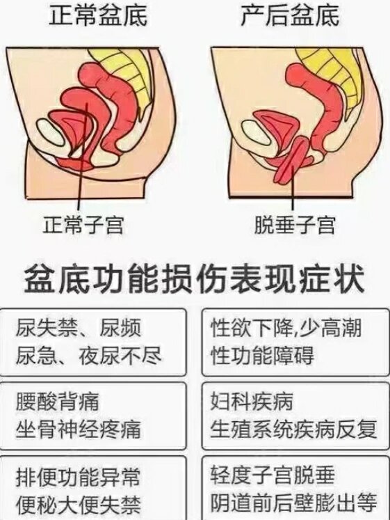 只要怀孕