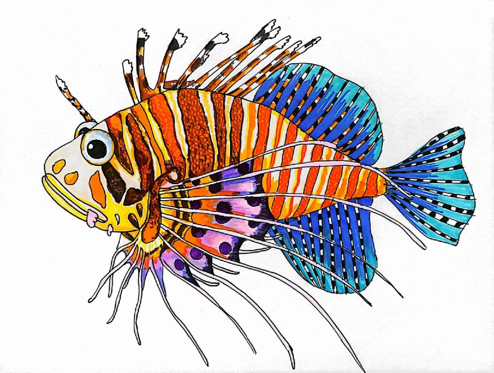 适合7-9岁 这个作品狮子鱼用的勾线笔细头,背景的海草都是粗头画的