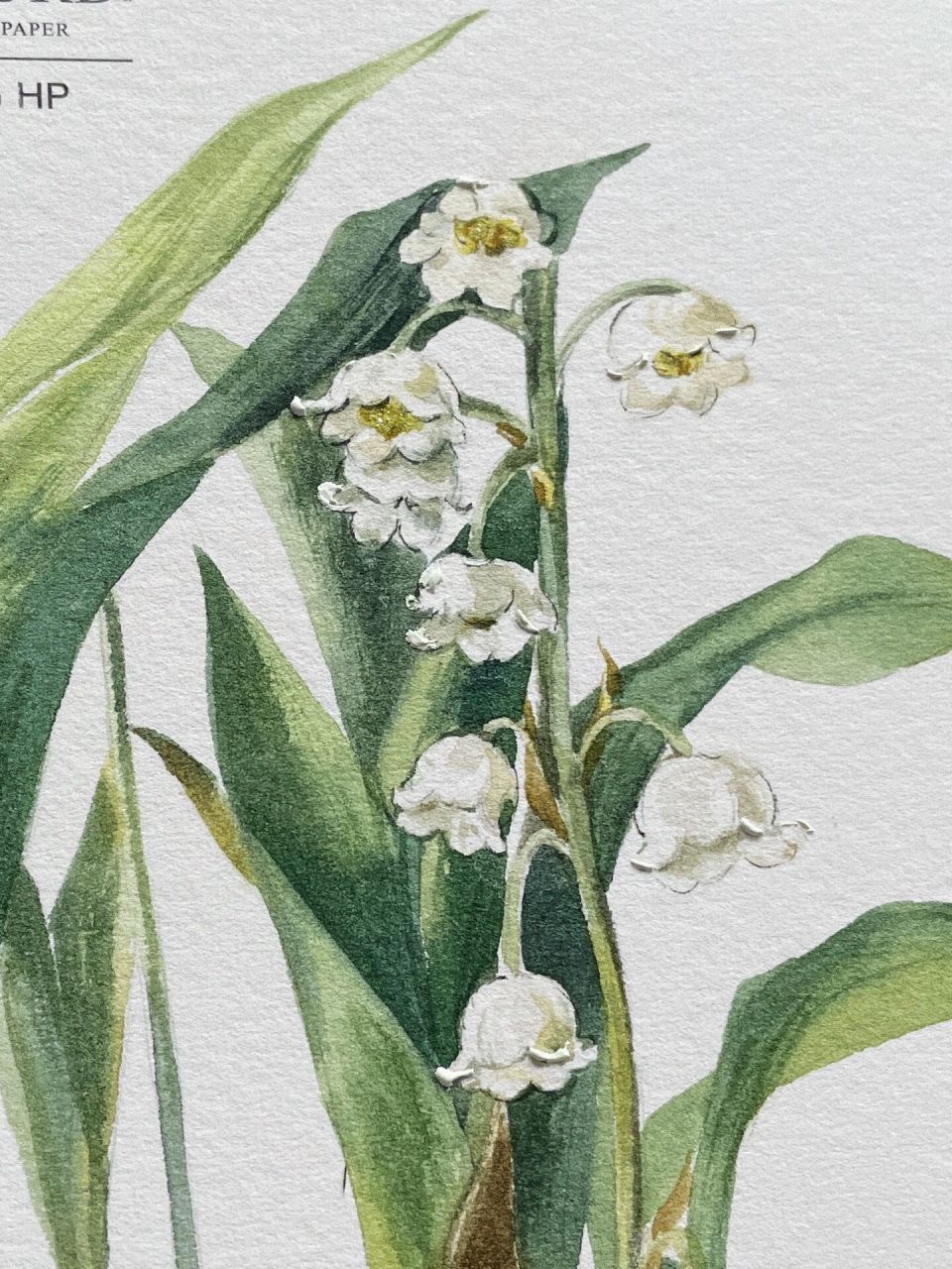 与谁同坐,清风明月与铃兰(画过多次的最爱) 95 水彩工具: 98纸张