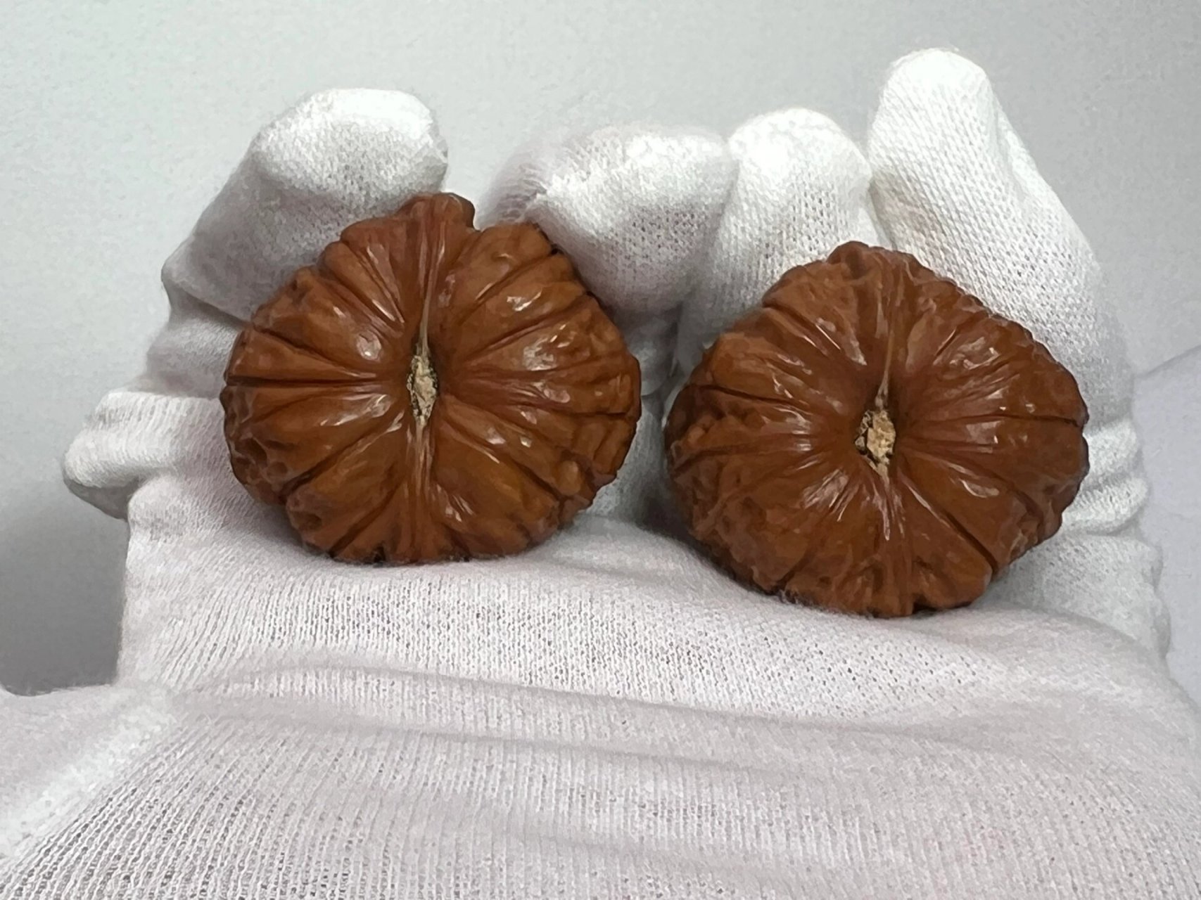 文玩核桃~南瓜墩 可可爱爱的99南瓜墩儿来啦…… 宽:35mm77,肚