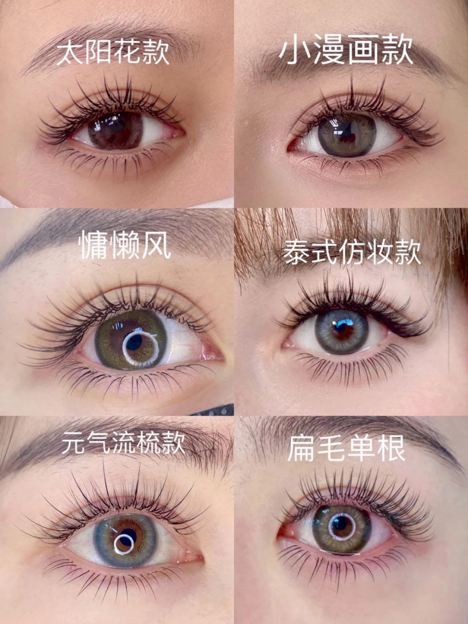 2023年常用款睫毛嫁接详细教程来了