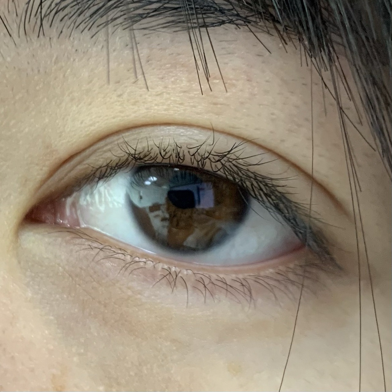 天生的眼睛 可惜近视500度 眼睛 天生的眼睛 可惜近视500度 眼睛