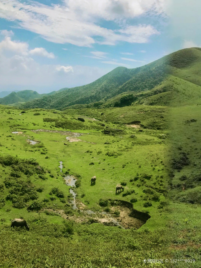 阳春鸡笼顶风景区图片