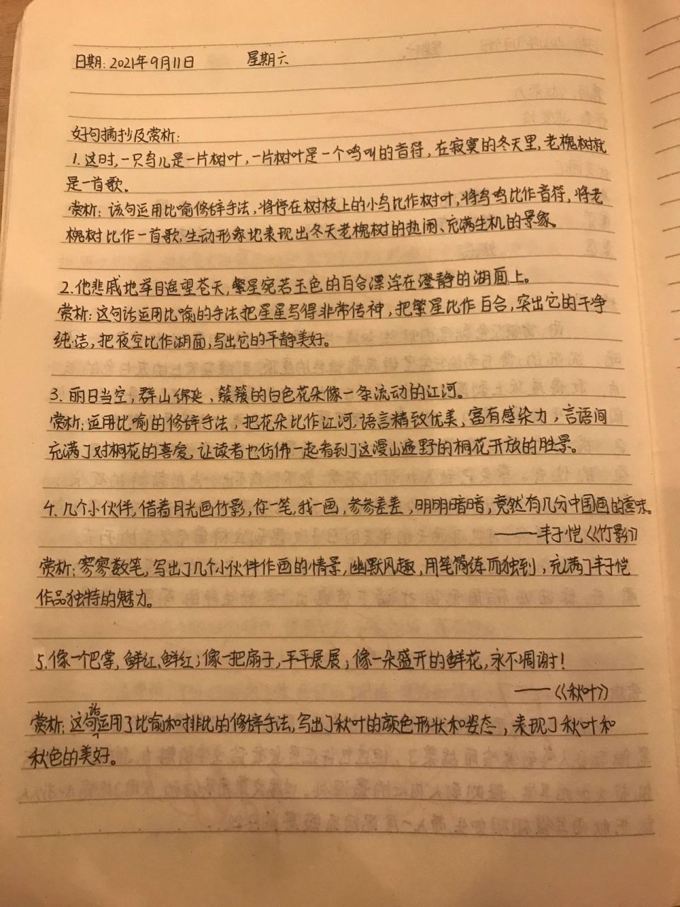 读书笔记(美句摘抄加赏析) 以后大概每周会更一两次