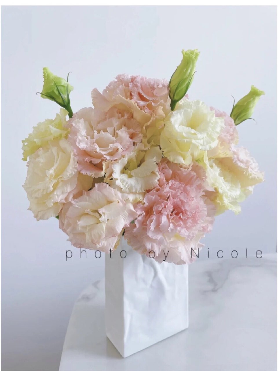 98花艺笔记——花中宠儿洋桔梗  02历史02 洋桔梗又名草原龙胆